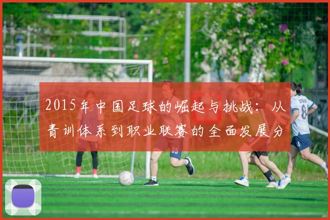 2015年中国足球的崛起与挑战：从青训体系到职业联赛的全面发展分析