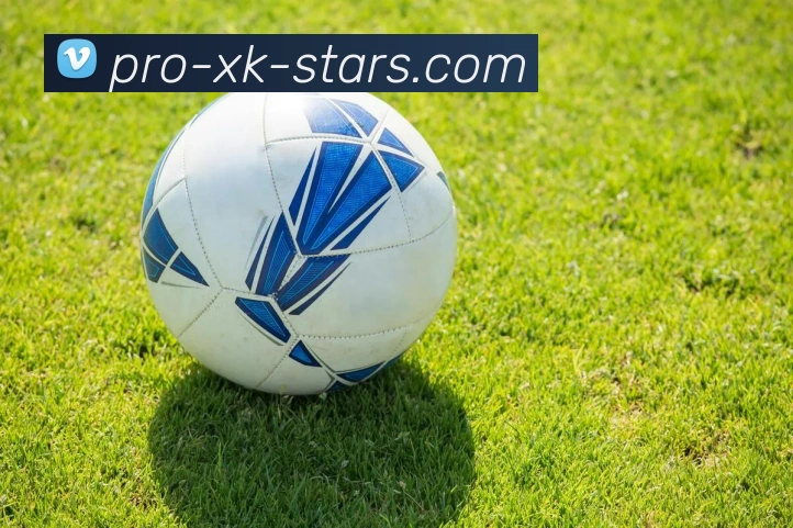 星空体育官网APP 高清赛事图